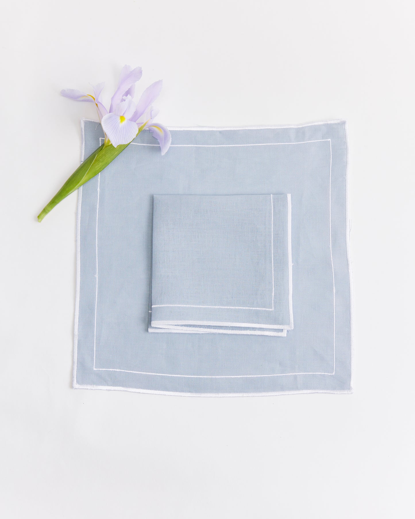 Francoise Napkin - Vintage Blue Set of 2